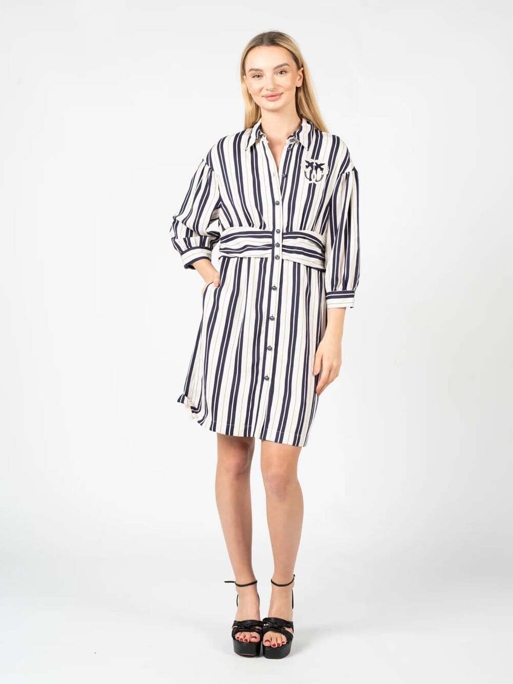 Pinko Chivasso Dress - Picture 1 of 6